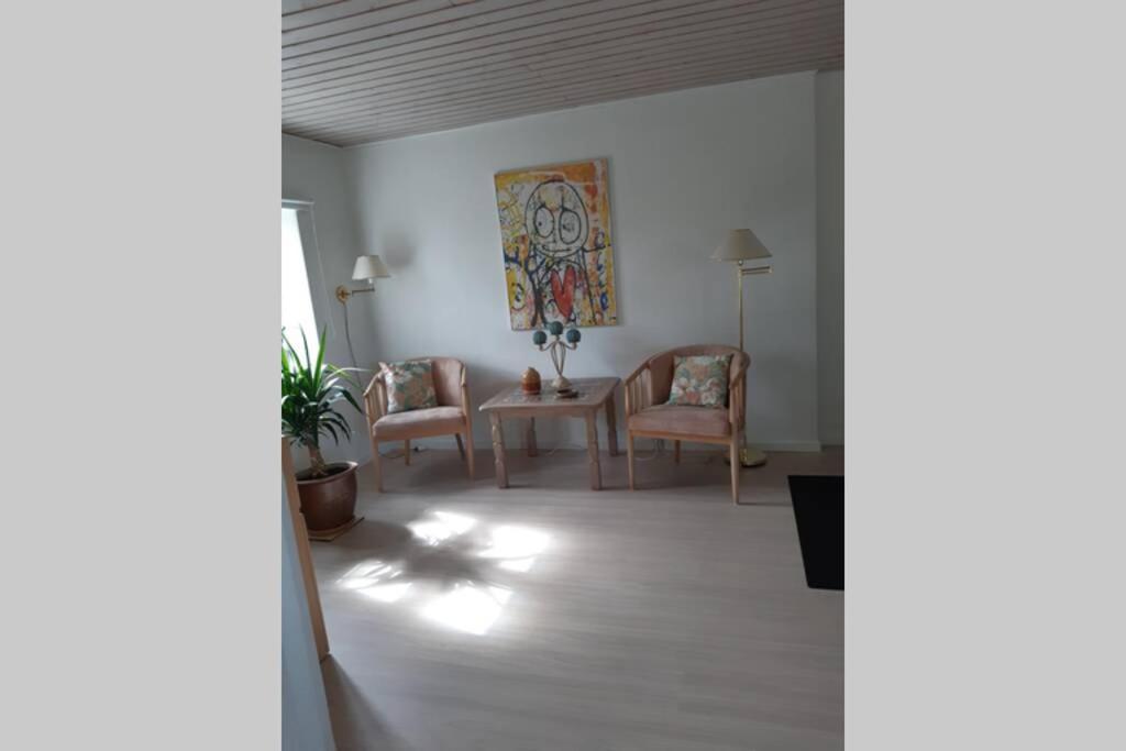 Skont Hus, Med 8 Sovepladser Себю Экстерьер фото